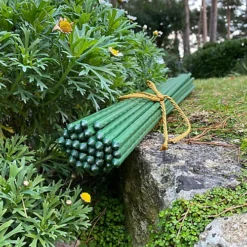 Set Of 40 Plastic Coated Metal Plant Support Sticks (60cm) -Outsunny Garden Zone set of 40 plastic coated metal plant support sticks 60cm 5060266599651 04c MP