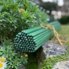 Set Of 80 Plastic Coated Metal Plant Support Sticks (120cm)