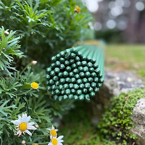 Set Of 80 Plastic Coated Metal Plant Support Sticks (120cm) 3 Set Of 80 Plastic Coated Metal Plant Support Sticks (120cm) - Image 3