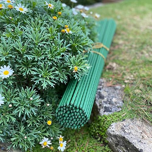 Set Of 80 Plastic Coated Metal Plant Support Sticks (120cm) 4 Set Of 80 Plastic Coated Metal Plant Support Sticks (120cm) - Image 4