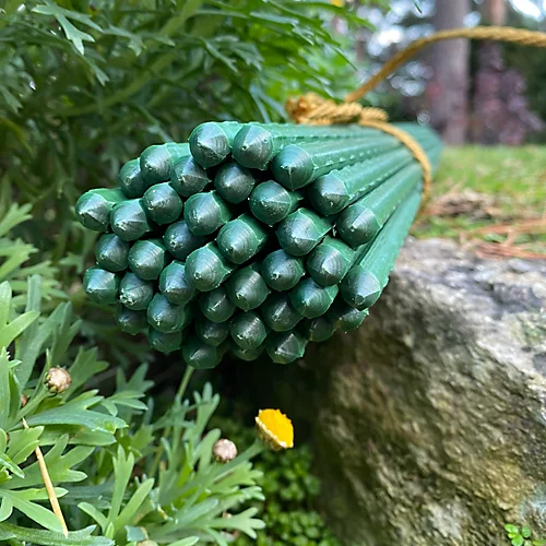 Set Of 80 Plastic Coated Metal Plant Support Sticks (60cm) 2 Set Of 80 Plastic Coated Metal Plant Support Sticks (60cm) - Image 2