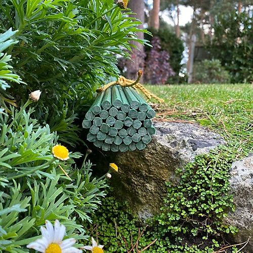 Set Of 80 Plastic Coated Metal Plant Support Sticks (60cm) 3 Set Of 80 Plastic Coated Metal Plant Support Sticks (60cm) - Image 3