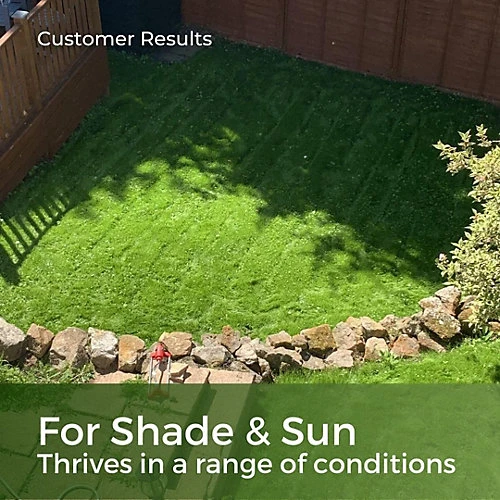 Shade & Sun Grass Seed For Shaded Areas 20kg (280-800m²) 2 Shade & Sun Grass Seed For Shaded Areas 20kg (280-800m²) - Image 2