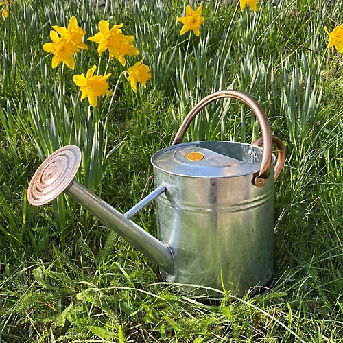 Silver & Copper Trim Metal Watering Can With Rose (9 Litre) 2 Silver & Copper Trim Metal Watering Can With Rose (9 Litre) - Image 2