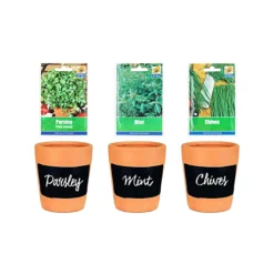Simpa 3PC Terracotta Chalkboard Herb Planters With Parsley, Mint And Chive Seeds.