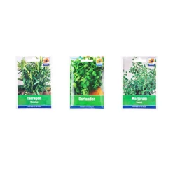 Simpa 3PC Terracotta Chalkboard Herb Planters With Tarragon, Coriander And Marjoram Seeds. -Outsunny Garden Zone simpa 3pc terracotta chalkboard herb planters with tarragon coriander and marjoram seeds 5059331210010 03c MP