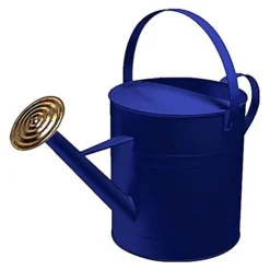 Simpa 9 Litre / 2 Gallon Dark Blue Galvanised Watering Can With Brass Rose.