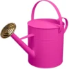 Simpa 9 Litre / 2 Gallon Pink Galvanised Watering Can With Brass Rose.
