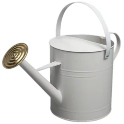Simpa 9 Litre / 2 Gallon White Galvanised Watering Can With Brass Rose.