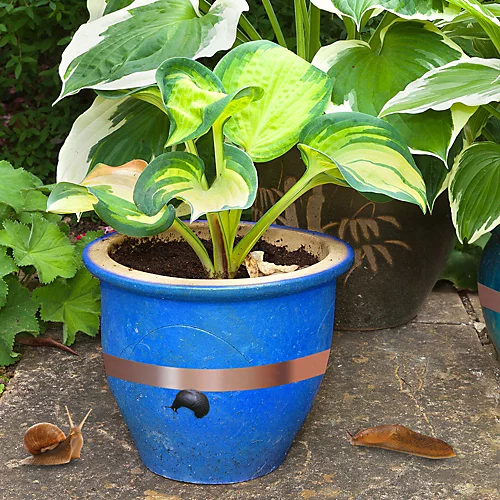 Slug & Snail Barrier Tape 4m - 2pk 1 Slug & Snail Barrier Tape 4m - 2pk