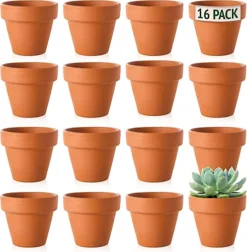 Small Terracotta Plant Pots - (5cm, 16 Pots) Mini Terracotta Plant For Flowers, Herb Planters, Seeds And Decor