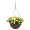 Smart Garden Petunia Artificial Green Round Plastic Hanging Basket, 25cm