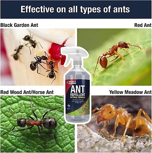 Spear & Jackson Ant Mouse And Spider Repellent 3 X 500ml 2 Spear & Jackson Ant Mouse And Spider Repellent 3 X 500ml - Image 2