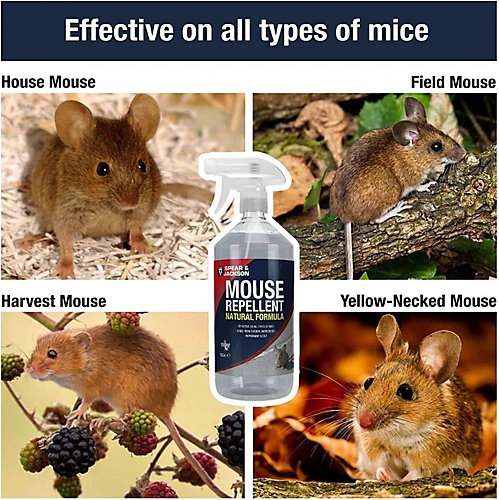 Spear & Jackson Ant Mouse And Spider Repellent 3 X 500ml 3 Spear & Jackson Ant Mouse And Spider Repellent 3 X 500ml - Image 3