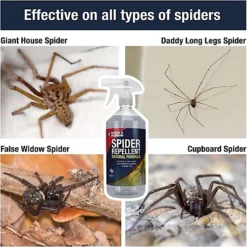 Spear & Jackson Spider Repellent 2 X 500ml -Outsunny Garden Zone spear jackson spider repellent 2 x 500ml5060744388685 03c MP