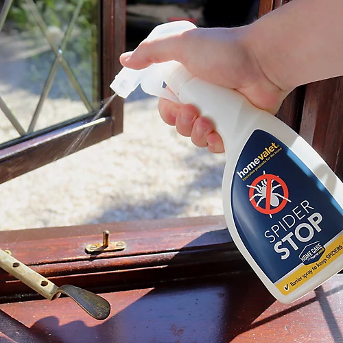 Spider Stop Repellent Spray Use Indoors And Outdoors 500ml Contains Peppermint And Cloves Natural Ingredients 2 Spider Stop Repellent Spray Use Indoors And Outdoors 500ml Contains Peppermint And Cloves Natural Ingredients - Image 2