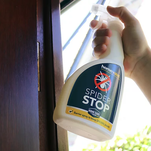 Spider Stop Repellent Spray Use Indoors And Outdoors 500ml Contains Peppermint And Cloves Natural Ingredients 3 Spider Stop Repellent Spray Use Indoors And Outdoors 500ml Contains Peppermint And Cloves Natural Ingredients - Image 3