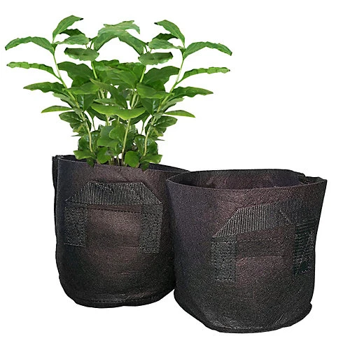 Spudulica 2 Gallon Non-Woven Grow Bags Black Fabric Garden Planter Durable Fabric Vegetable Flower Herb Planter 10x Pack 1 Spudulica 2 Gallon Non-Woven Grow Bags Black Fabric Garden Planter Durable Fabric Vegetable Flower Herb Planter 10x Pack