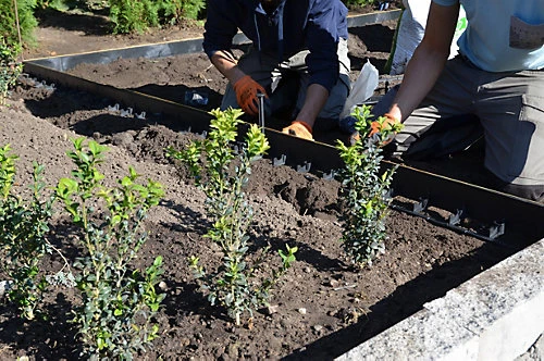 Spudulica HD Garden Edging 10 Pieces 10m Length 60mm Height Black Garden Border System For Paths, Borders, Gravel Areas, Tree Pits 2 Spudulica HD Garden Edging 10 Pieces 10m Length 60mm Height Black Garden Border System For Paths, Borders, Gravel Areas, Tree Pits - Image 2