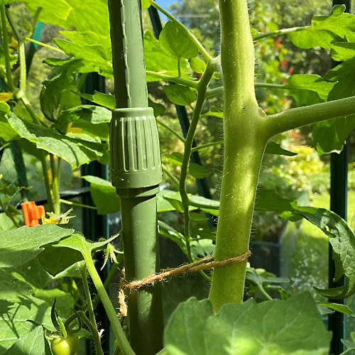 Telescopic Extendable Tomato, Cucumber, Squash & Climbing Plant Support Stakes - Heavy Duty Rods, Pk 12 1 Telescopic Extendable Tomato, Cucumber, Squash & Climbing Plant Support Stakes - Heavy Duty Rods, Pk 12