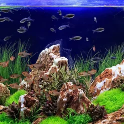 Tetra Complete Substrate 10kg Aquarium Natural Soil Fertiliser -Outsunny Garden Zone tetra complete substrate 10kg aquarium natural soil fertiliser4004218247338 03c MP