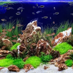 Tetra Complete Substrate, Activates Strong And Healthy Plant Growth In An Aquarium, 5 Kg -Outsunny Garden Zone tetra complete substrate activates strong and healthy plant growth in an aquarium 5 kg4004218245303 03c MP