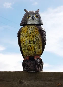 The Big Cheese Wind Action Owl -Outsunny Garden Zone the big cheese wind action owl5036200129659 04c MP