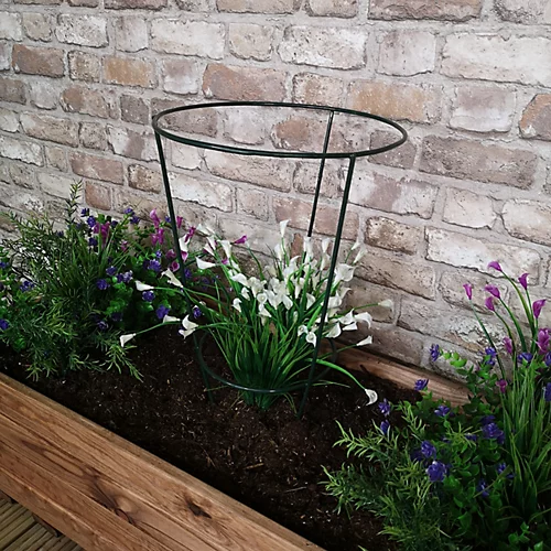 Tom Chambers Urban Green Conical Garden Plant Support Ring 30cm - Medium 1 Tom Chambers Urban Green Conical Garden Plant Support Ring 30cm - Medium