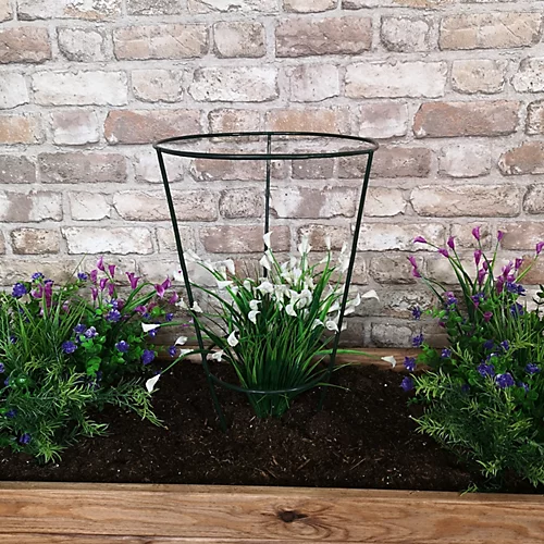 Tom Chambers Urban Green Conical Garden Plant Support Ring 30cm - Medium 3 Tom Chambers Urban Green Conical Garden Plant Support Ring 30cm - Medium - Image 3