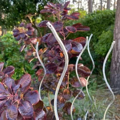 Tomato Spiral Climbing Plant Support Metal Stakes Galvanised Set Of 12 (1.6m)