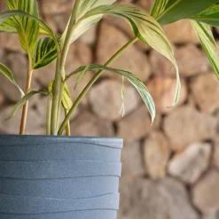 Tramontina Grego Polyethylene Planter (80cm High, Graphite) -Outsunny Garden Zone tramontina grego polyethylene planter 80cm high graphite 7898683601019 04c MP