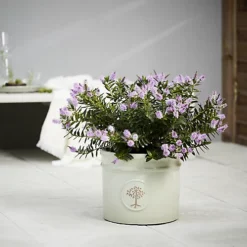 Verve Barcău Olive Ceramic Circular Plant Pot (Dia)30cm 5 Verve Barcău Olive Ceramic Circular Plant Pot (Dia)30cm -Outsunny Garden Zone verve barcau olive ceramic circular plant pot dia 30cm5059340327723 01i