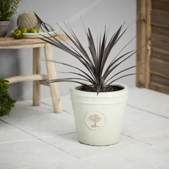 Verve Barcău Olive Ceramic Circular Plant Pot (Dia)32cm 5 Verve Barcău Olive Ceramic Circular Plant Pot (Dia)32cm -Outsunny Garden Zone verve barcau olive ceramic circular plant pot dia 32cm5059340327785 01i