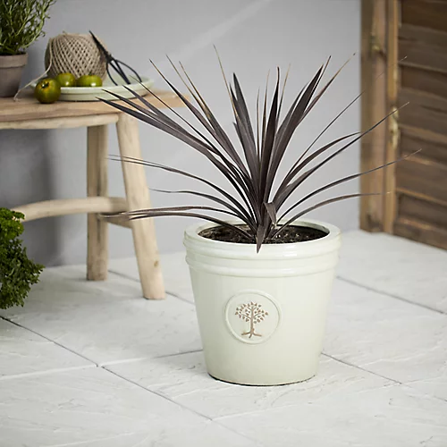 Verve Barcău Olive Ceramic Circular Plant Pot (Dia)32cm 3 Verve Barcău Olive Ceramic Circular Plant Pot (Dia)32cm - Image 3