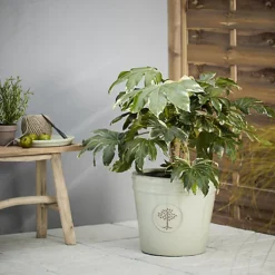 Verve Barcău Olive Ceramic Circular Plant Pot (Dia)40cm 5 Verve Barcău Olive Ceramic Circular Plant Pot (Dia)40cm -Outsunny Garden Zone verve barcau olive ceramic circular plant pot dia 40cm5059340327761 01i