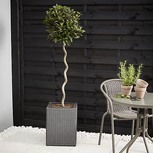 Verve Iraklia Grey Square Planter 3 Verve Iraklia Grey Square Planter - Image 3