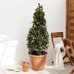 Verve Piave Terracotta Polypropylene (PP) Round Plant Pot (Dia)45cm -Outsunny Garden Zone verve piave terracotta polypropylene pp round plant pot dia 45cm5059340327822 01i