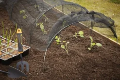 Verve Plastic Cloche -Outsunny Garden Zone verve plastic cloche5059340329659 02i