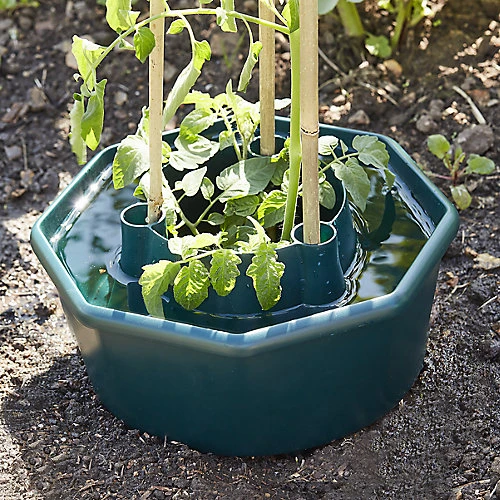 Verve Plastic Plant Support 28cm, Pack Of 3 3 Verve Plastic Plant Support 28cm, Pack Of 3 - Image 3