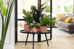 Vibes Fold Round Large 25cm Plant Pot Indoor Home Decorative Flower Herb Planter Embossed Design Recycled Plastic Pink -Outsunny Garden Zone vibes fold round large 25cm plant pot indoor home decorative flower herb planter embossed design recycled plastic pink5021218789988 03c MP
