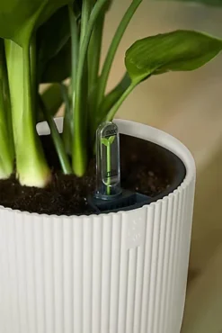 Vibes Round Fold Decor Recycled Material Indoor Garden Balcony Window Container Holder Plant Flower Organizer Pot White 25cm -Outsunny Garden Zone vibes round fold decor recycled material indoor garden balcony window container holder plant flower organizer pot white 25cm5021218789391 03c MP