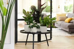 Vibes Round Fold Decor Recycled Material Indoor Garden Balcony Window Container Holder Plant Flower Organizer Pot White 25cm -Outsunny Garden Zone vibes round fold decor recycled material indoor garden balcony window container holder plant flower organizer pot white 25cm5021218789391 04c MP