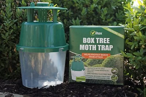 Vitax Box Tree Moth Trap Buxus Box 3 Vitax Box Tree Moth Trap Buxus Box - Image 3