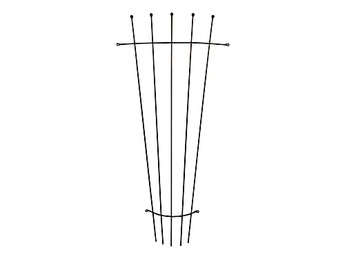 Wall Mounted Fan Trellis, Plant Supports 1 Wall Mounted Fan Trellis, Plant Supports