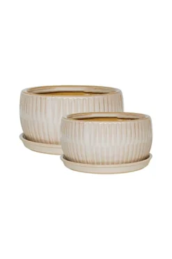 White Round Bonsai Planter Set Of 2