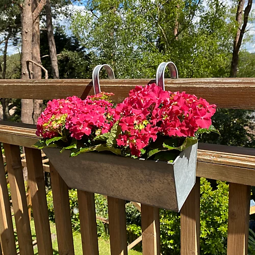 Zinc Balcony Hanging Planters (Set Of 2) 1 Zinc Balcony Hanging Planters (Set Of 2)
